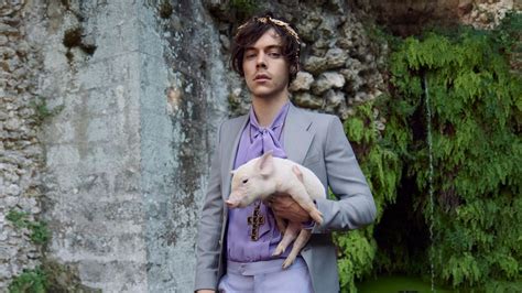 Harry Styles holds pigs and lambs for Gucci Cruise 